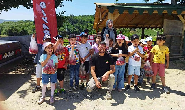 Bilecik'te minik öğrenciler tarladan çilek topladı