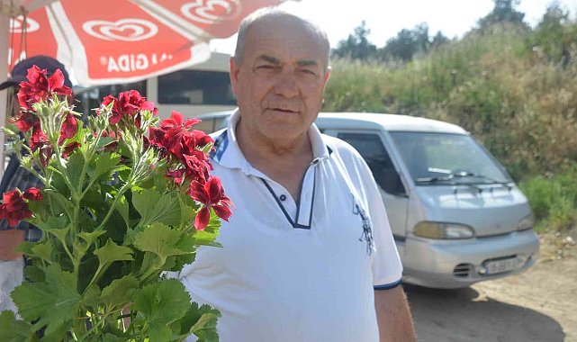 Bilecik'te şarkısıyla ünlü olan 'Ebe Gümeci' çiçeğine vatandaşlar yoğun ilgi gösteriyor
