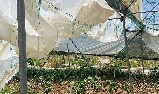 Bilecik'te seraları hortum vurdu
