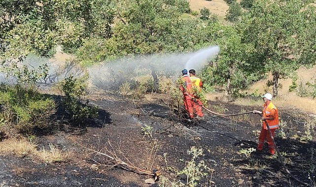 Bingöl'de orman yangını büyümeden söndürüldü