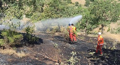 Bingöl'de orman yangını büyümeden söndürüldü