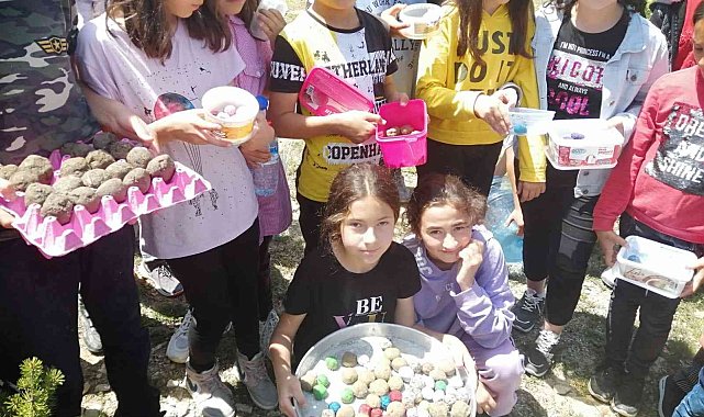 Binlerce tohum topu toprakla buluştu