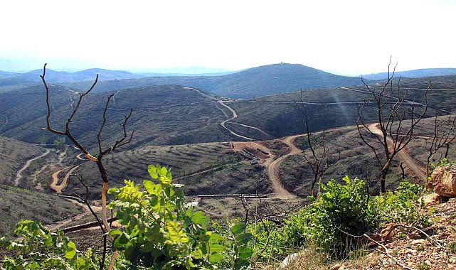 Bir yıl önce yanan saha havadan görüntülendi