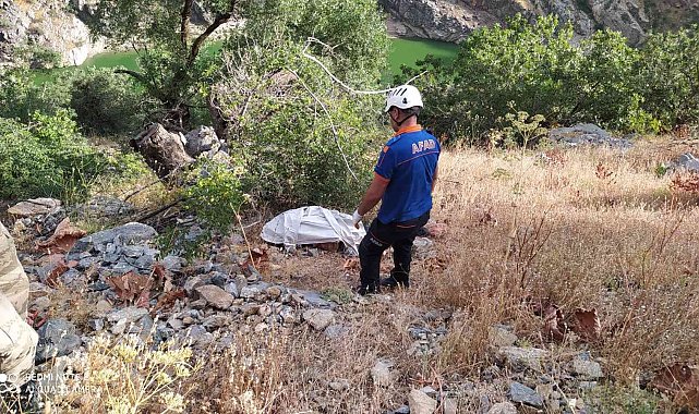 Bitlis&#039;te trafik kazası: 1 ölü