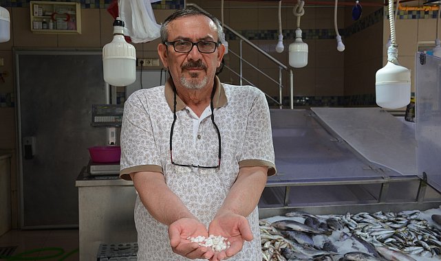 Böbrek taşı düşürdüğüne inanılan eşkina balığındaki taşlar 5 TL'den alıcı buluyor