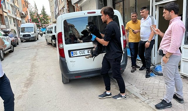 Boş dükkâna bağlanan köpek hayvan severlerin ihbarıyla kurtarıldı