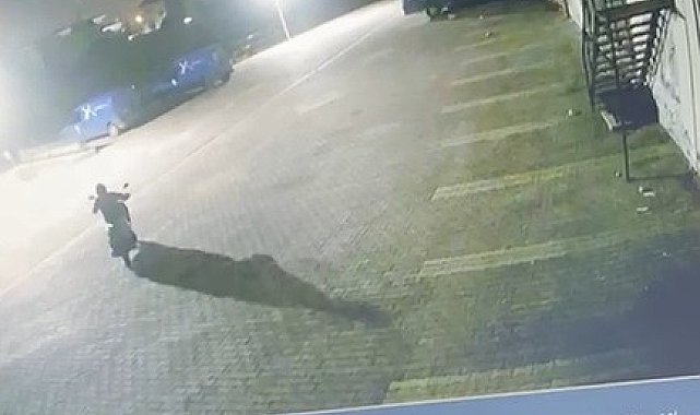 Büfeden 125 bin lira değerinde hırsızlık yapan şüpheli komşu kamerasında
