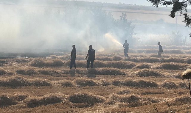 Buğday tarlasında çıkan yangın korkuttu