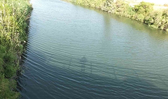 Burhaniye' de dere ve deniz kirliliğine dikkat çekildi