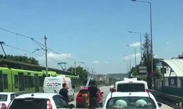 Bursa&#039;da kaçan boğalar trafiği kilitledi