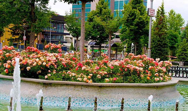 Büyükşehir belediyesinden &#039;En güzel bahçe&#039; Yarışması