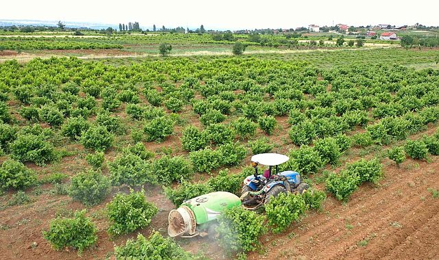 Büyükşehirden üreticiye zirai ilaç desteği