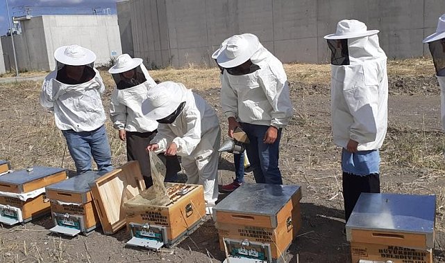 Büyükşehirin bu projesi meslek sahibi yapıyor