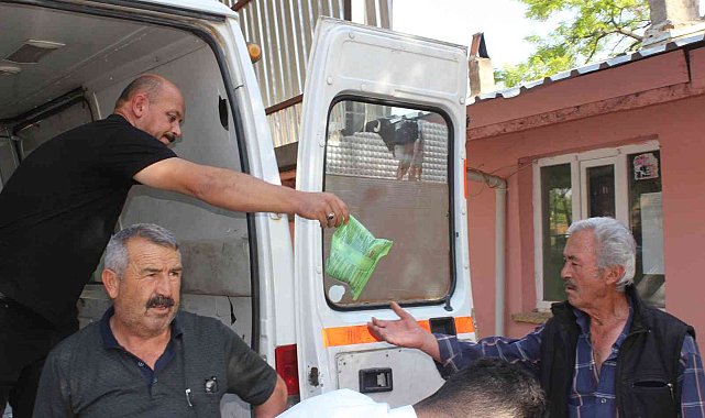 Çal'da dolu yağışının neden olduğu zararın izleri siliniyor