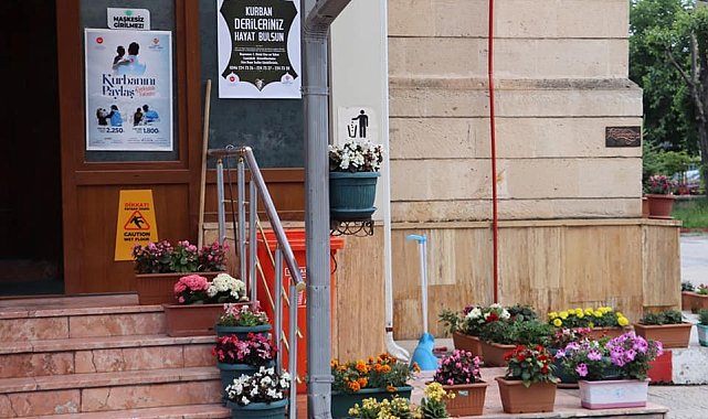 Cami bahçesi, çiçek bahçesine döndü