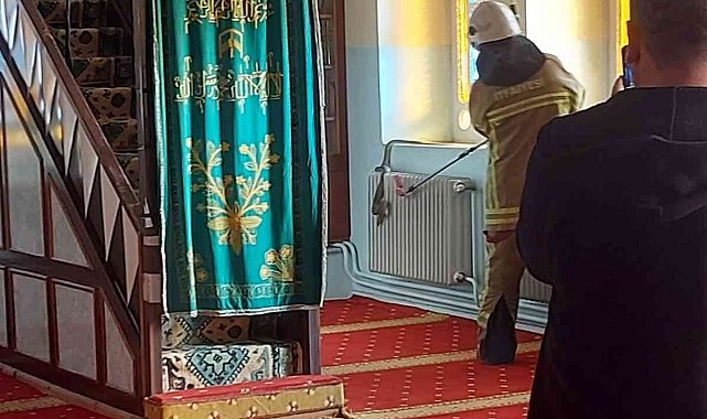 Camide yılan paniği