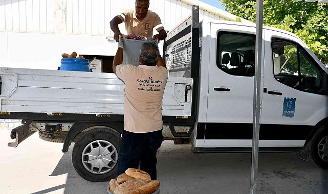 Can dostların mamaları Kuşadası Belediyesi&#039;nden