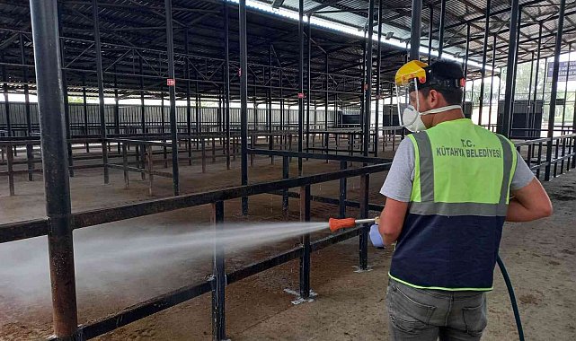 Canlı hayvan pazarında temizlik, dezenfeksiyon ve kireçleme çalışmaları tamamlandı