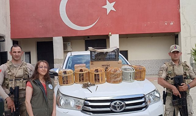 Çatak'ta kafes avcılığı yapan 1 kişi jandarmaya takıldı