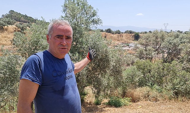 Çevre konusunda örnek olması gereken Sultanhisar Belediyesi &#039;pes&#039; dedirtti