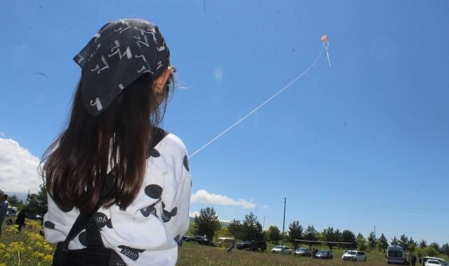 Çıldır'da 'Uçurtma Şenliği' düzenlendi