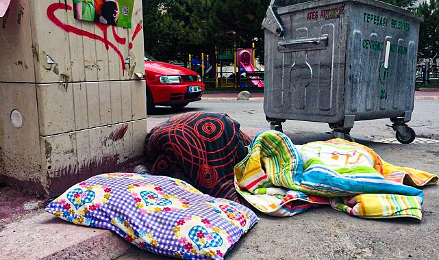 Çöp konteyneri kenarları adeta bit pazarı