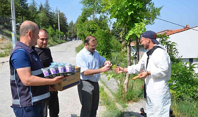 Daha temiz ve yeşil bir Emet için belediye ekipleri sahada