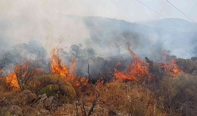 Dalaman'da orman yangını