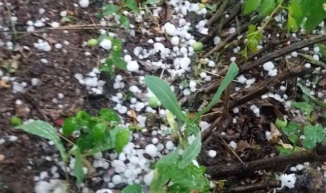 Denizli'de şiddetli yağış ve dolu yaşamı olumsuz etkiledi