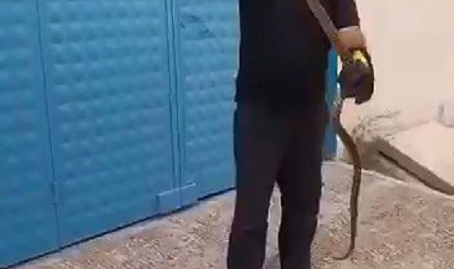 Depoya giren yılan ekipleri harekete geçirdi