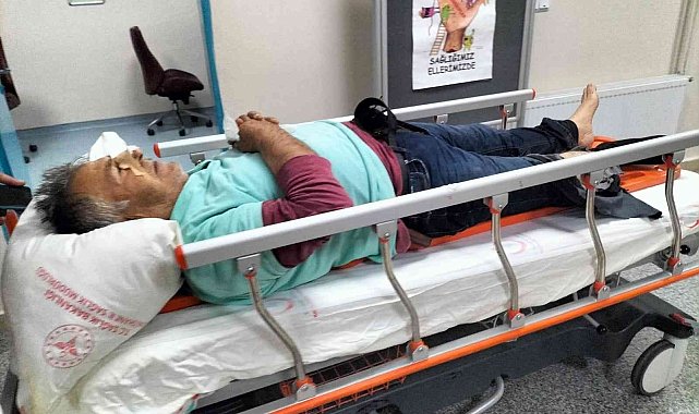 Dereye düşen tavuğunu kurtarırken bacağını kırdı