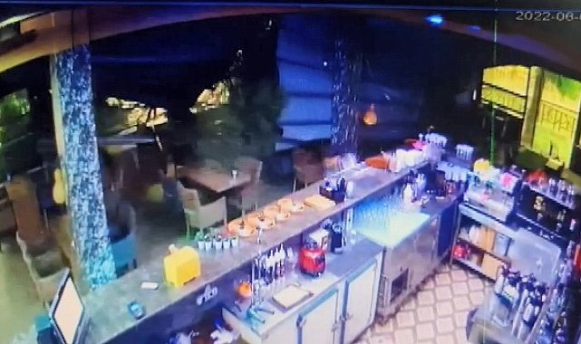 Dev çam ağacı kafenin üstüne böyle devrildi