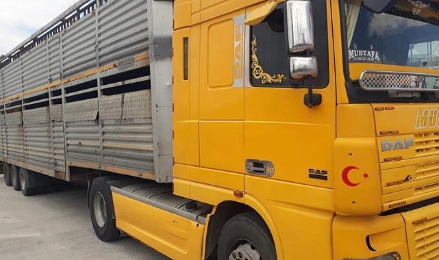 Didim'deki hayvan hırsızlığına adı karışan tır şoförü konuştu
