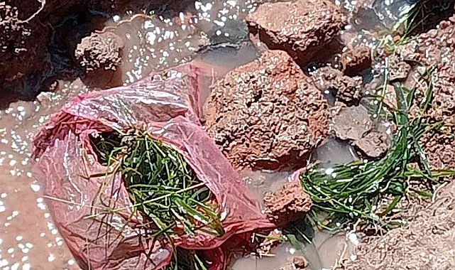 Digor Varlı köyü afet evleri suya kavuştu