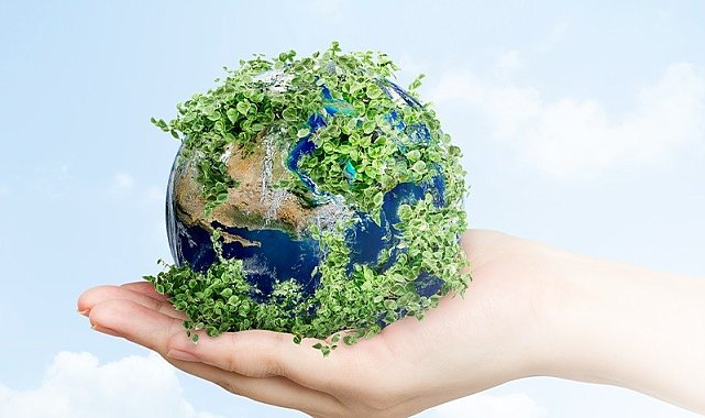 Dijitalleşen milyonlarca belge 140 bin ağacı korudu