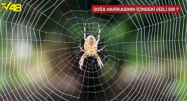 Doğa Harikasının İçindeki Gizli Sır ?