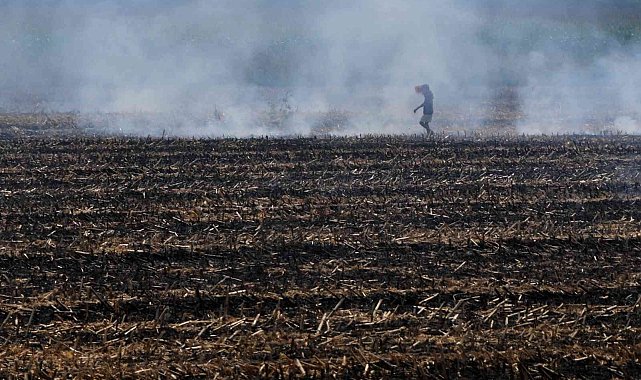 Doğan: "Sürdürülebilir tarım için anız yakmayın"