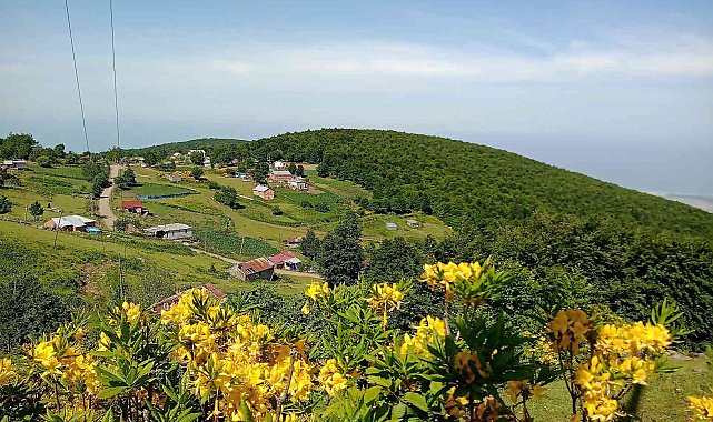Doğaseverler &#039;Kocadağ Şenliği&#039;nde buluşacak