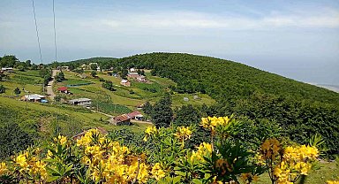 Doğaseverler 'Kocadağ Şenliği'nde buluşacak