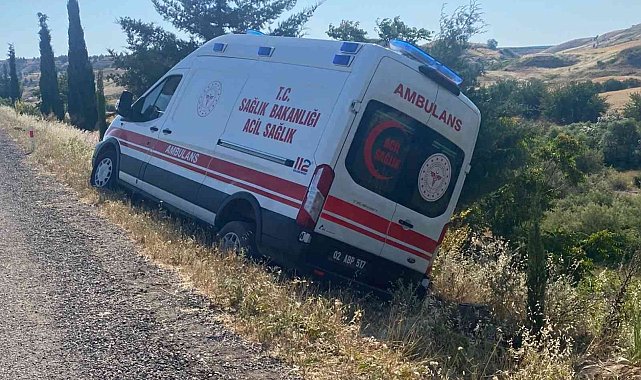 Domuza çarpmamak isterken şarampole çıktı