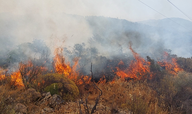 Dalaman'da Çıkan Orman Yangını Söndürüldü