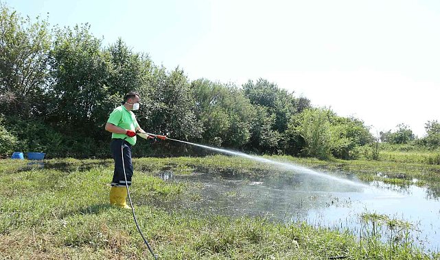 Efeler Belediyesi ilaçlama çalışmalarına hız verdi