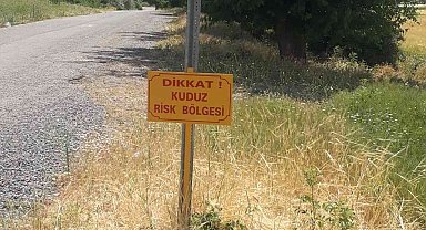 Elazığ'da bir köy kuduz vakasıyla karantinaya alındı