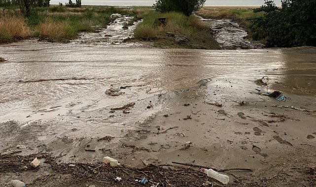 Elazığ'da tarım arazilerini sel vurdu