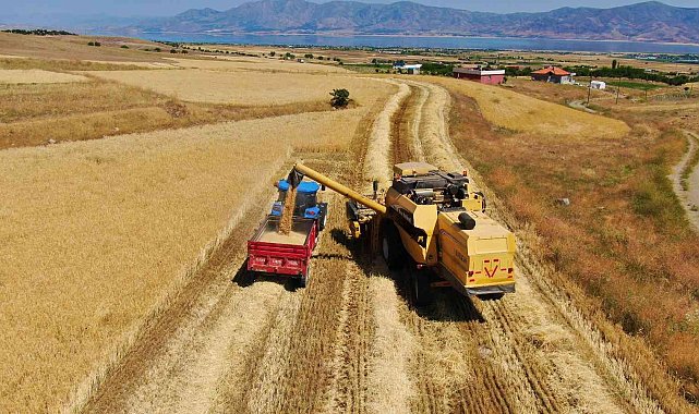 Elazığ'da yılın ilk arpa hasadı gerçekleştirildi