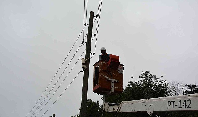 Elektrik direğinde mahsur kalan kedi, ekiplerden korkup kendisi indi