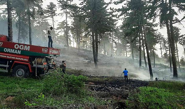 Emet'te yıldırım düşmesi sonucu çıkan orman yangını büyümeden söndürüldü