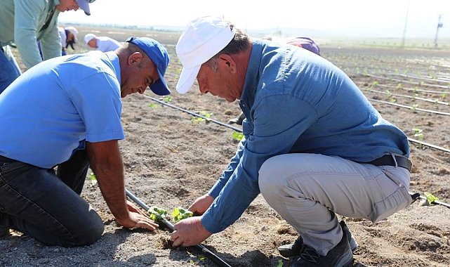 Ereğli'de organik tarımda ilk adım atıldı