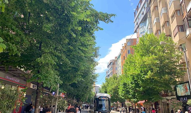 Eskişehir'i ıhlamur kokusu sardı