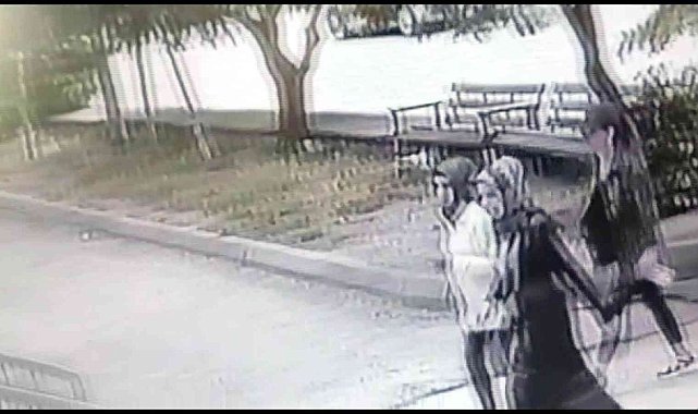 Ev fareleri önce kameraya sonra polise yakalandı